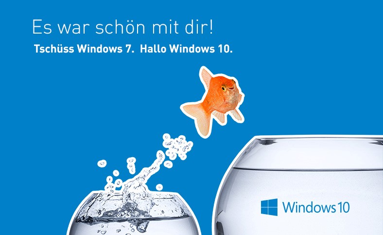 win10_fisch.jpg