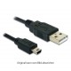 USB 2.0 AM / BM-Mini Kabel, 1m_4699